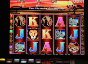 壹号国际app下载2024最新版